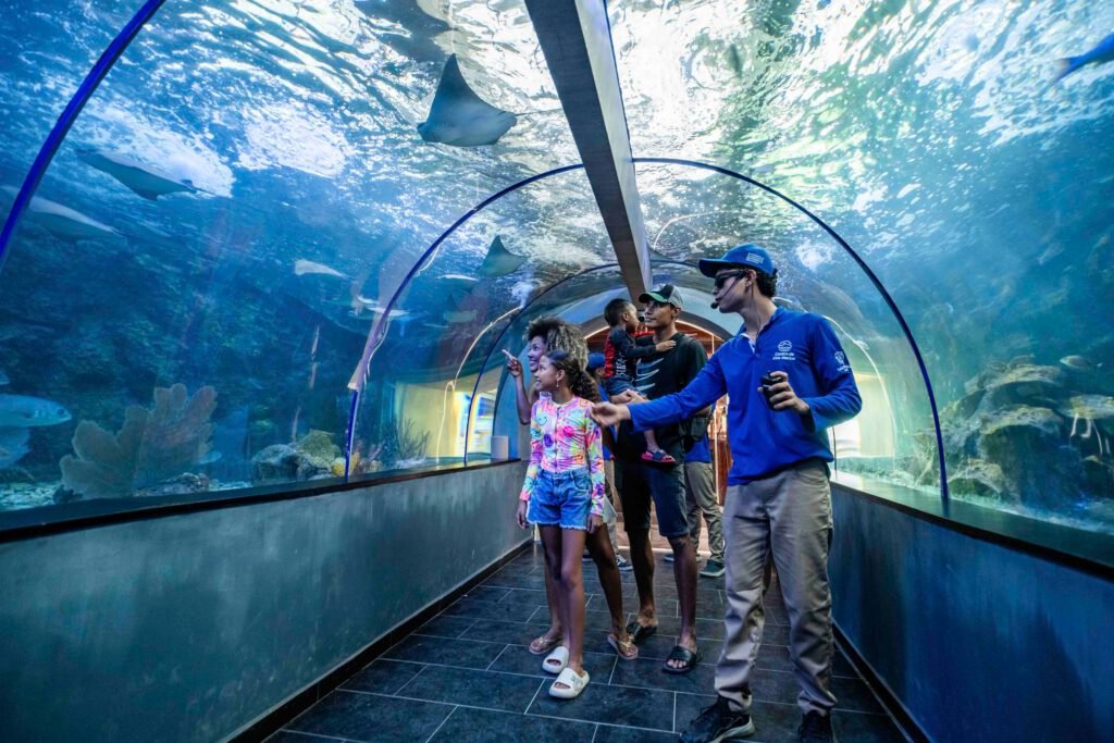 Acuario - foto 13