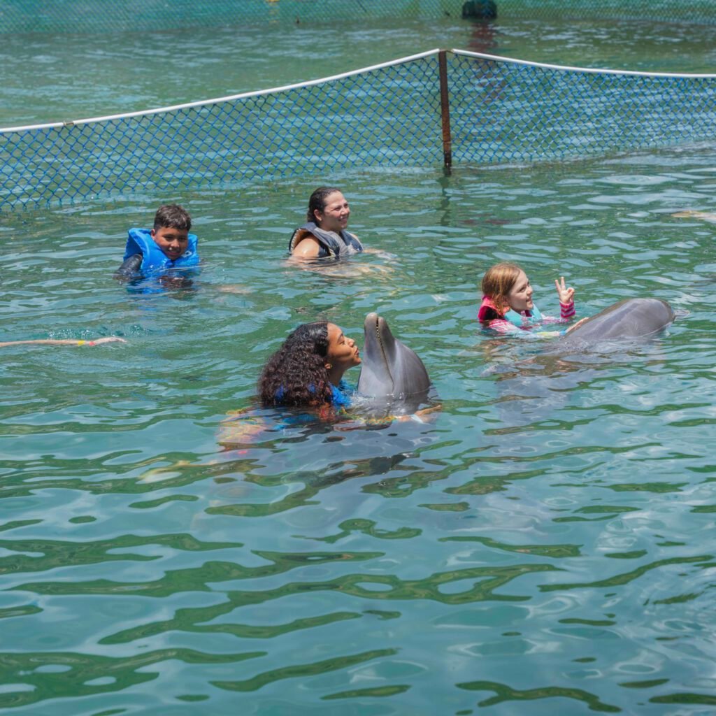 Acuario - foto 12