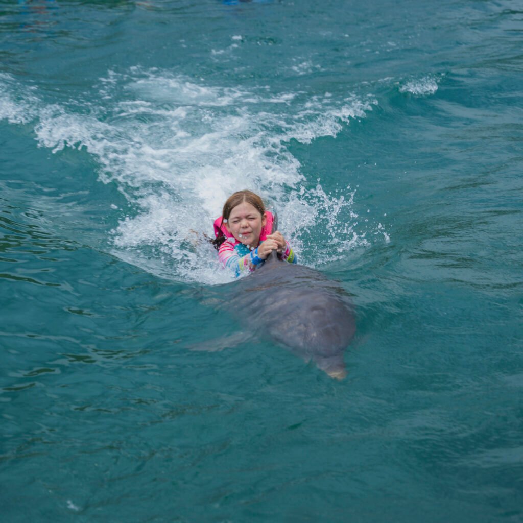 Acuario - foto 11