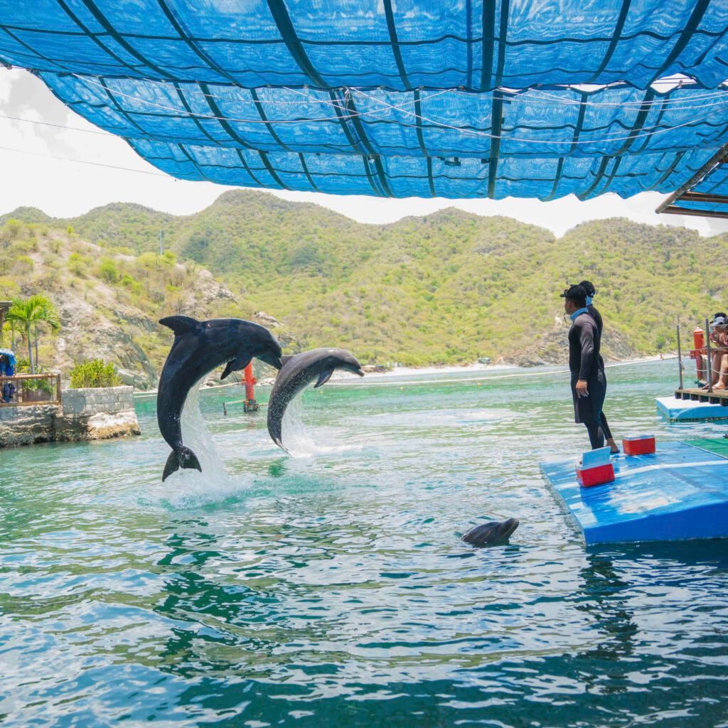 Acuario - foto 10