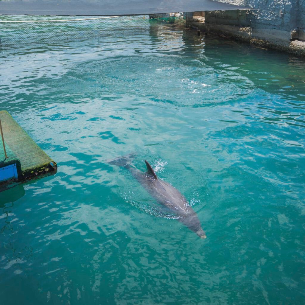 Acuario - foto 8