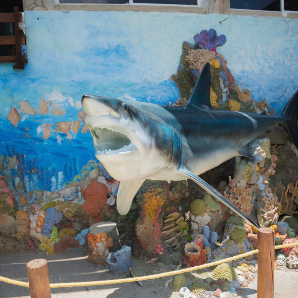 Acuario - foto 7