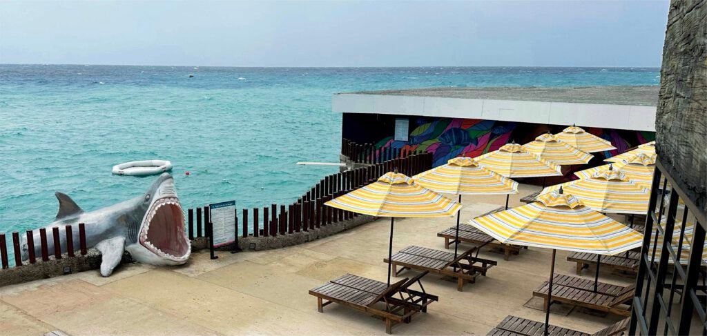 Conoce Hotel Blue Cove - foto 11 de 24
