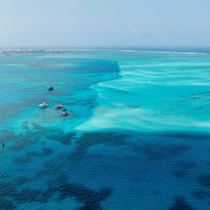 Conoce Hotel Blue Cove - foto 6 de 24