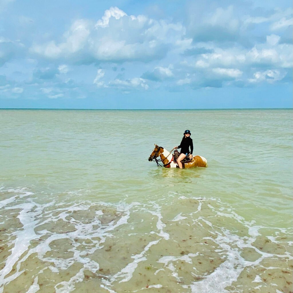 Cabalgatas - foto 18