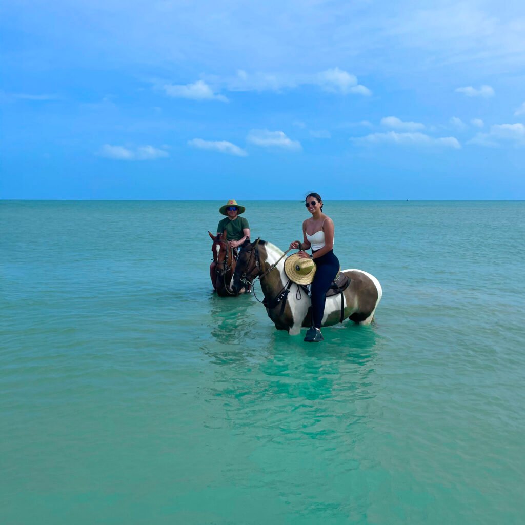Conoce Hotel Wayira Beach - foto 10 de 26
