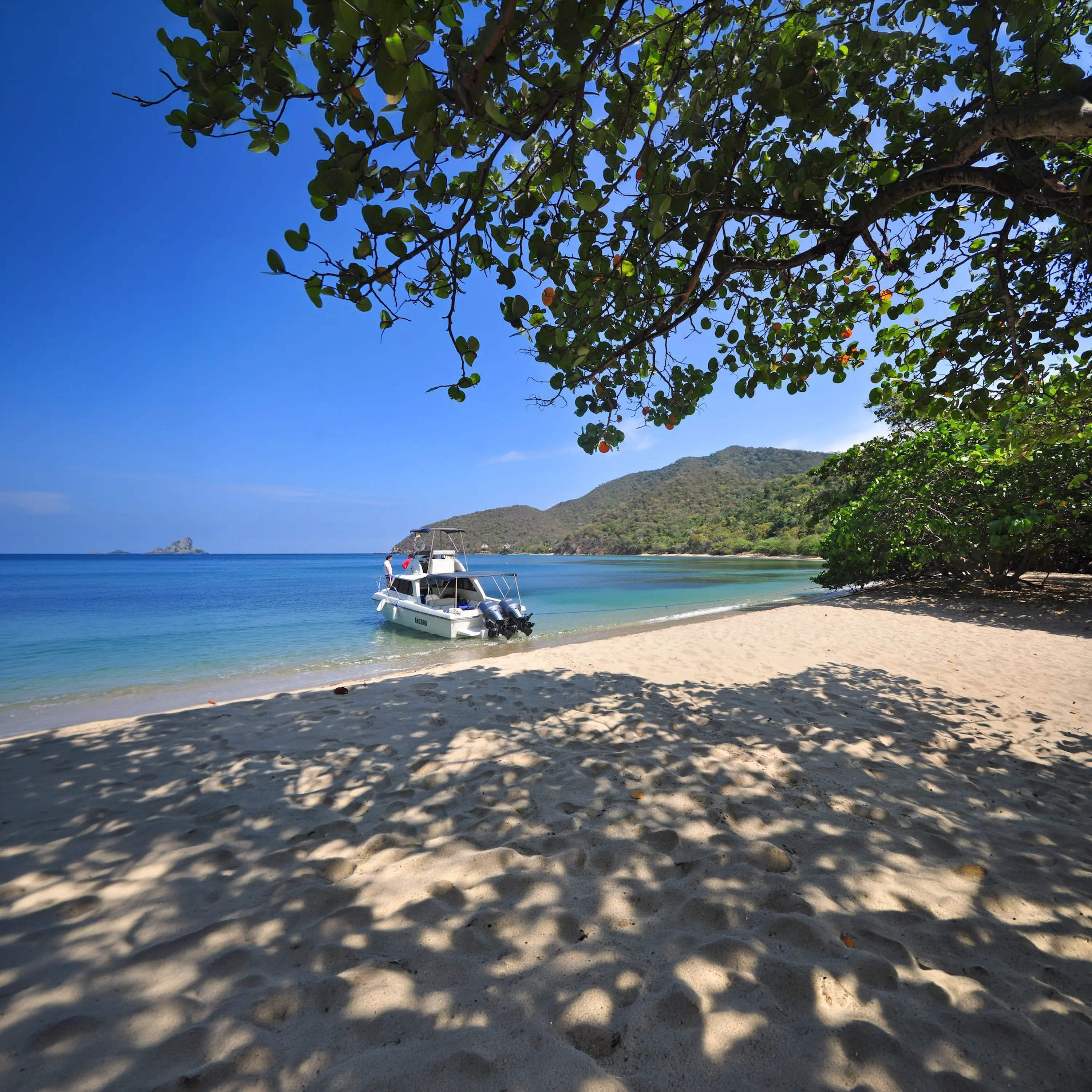 Santa Marta en diciembre y enero, Santa Marta