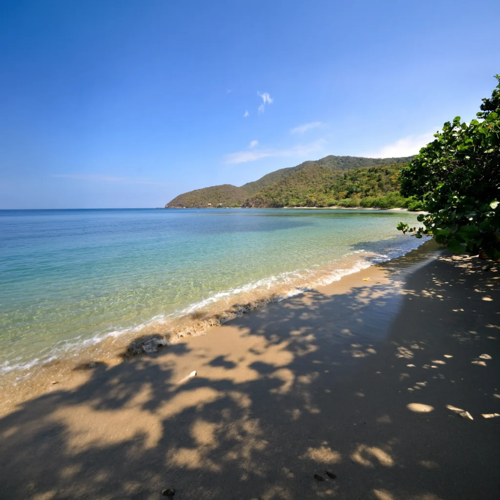 Bahía Cinto - foto 1